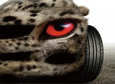 Yokohama ADVAN V701: универсальные шины со спортивным характером. Yokohama ADVAN V701: универсальные шины со спортивным характером.